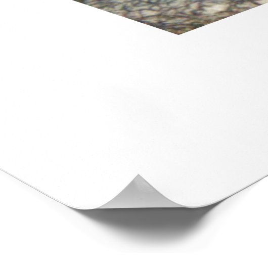 Arthur Rackham - De familie van de Serpentine Poster (Hoek)