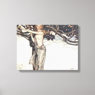 Arthur Rackham Freya The Fair One Canvas Afdruk