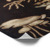 Arthur Rackham | Peter Pan in Kensington-tuinen Poster (Hoek)