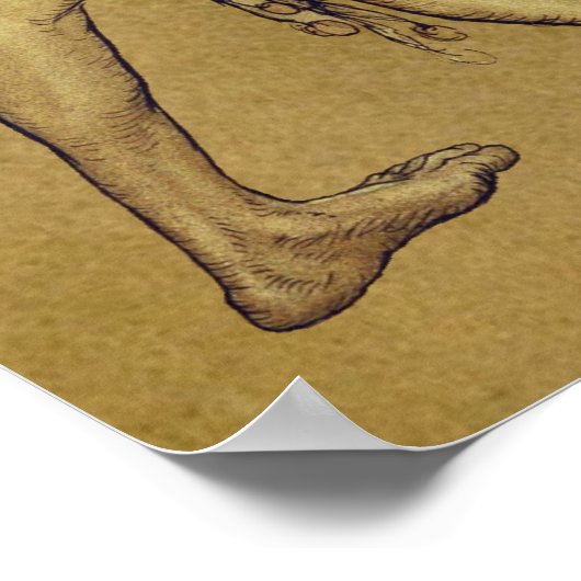 Arthur Rackham Puck Lord what fools CC0950 Small Poster (Hoek)