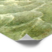 Arthur Rackham -  sprookjeskunst Poster (Hoek)