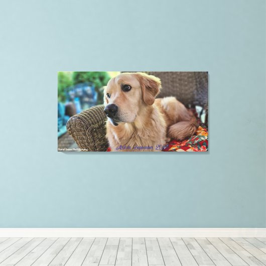 Arthur, September 2025 Canvas Afdruk (Insitu (Houten vloer))