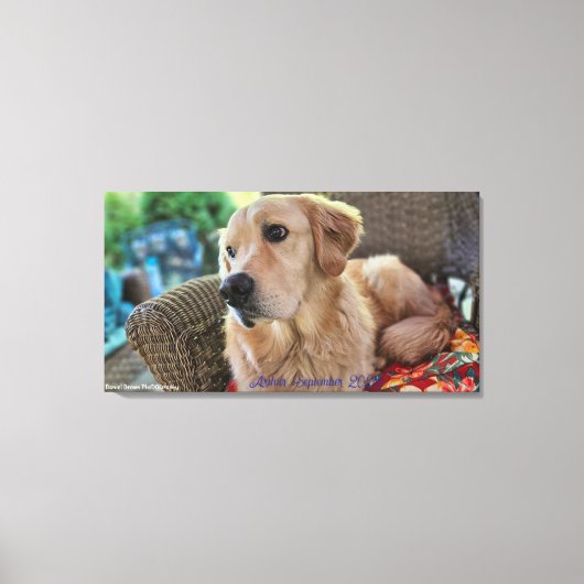 Arthur, September 2025 Canvas Afdruk (Voorkant)