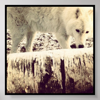 Arthur the Wolf Poster