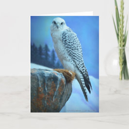 Artic Falcon-Wenskaart Kaart