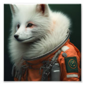 Artic Fox Astronaut Foto Afdruk (Voorkant)