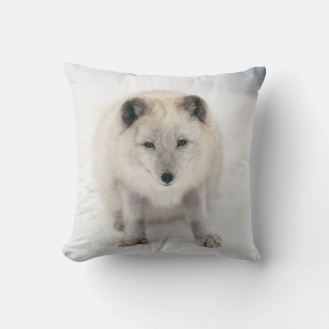 Artic Fox Kussen (Voorkant)
