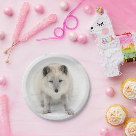 Artic Fox Papieren Bordje (Feest)