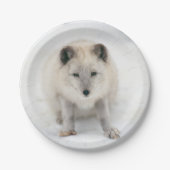 Artic Fox Papieren Bordje (Voorkant)