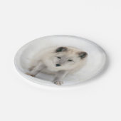Artic Fox Papieren Bordje (Gekanteld)