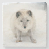 Artic Fox Stenen Onderzetter (Voorkant)