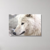 Artic Wolf Lovers Canvas Afdruk (Voorkant)