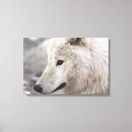 Artic Wolf Lovers Canvas Afdruk