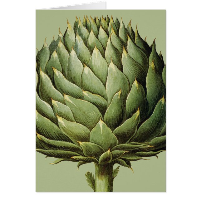 Artichoke, 1613 (Voorkant)
