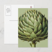 Artichoke, 1613 briefkaart (Voorkant / Achterkant)