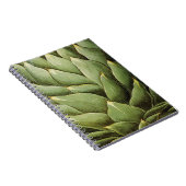 Artichoke, 1613 notitieboek (Rechterzijde)