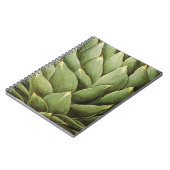 Artichoke, 1613 notitieboek (Linkerzijde)