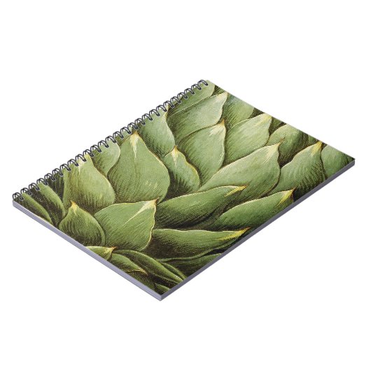 Artichoke, 1613 notitieboek (Linkerzijde)