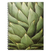 Artichoke, 1613 notitieboek (Voorkant)