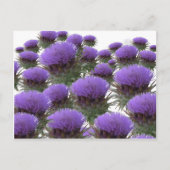 Artichoke Blooms Briefkaart (Voorkant)
