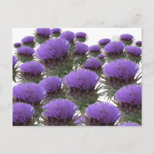 Artichoke Blooms Briefkaart (Voorkant)