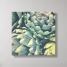 Artichoke Canvas Afdruk