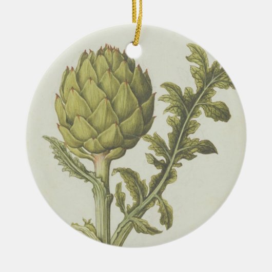 Artichoke: Cynara scolymus, c.1568 Keramisch Ornament (Voorkant)