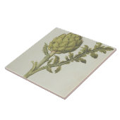 Artichoke: Cynara scolymus, c.1568 Tegeltje (Zijkant)