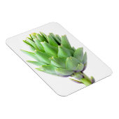 Artichoke Magneet (Rechterzijde)