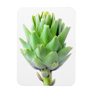 Artichoke Magneet