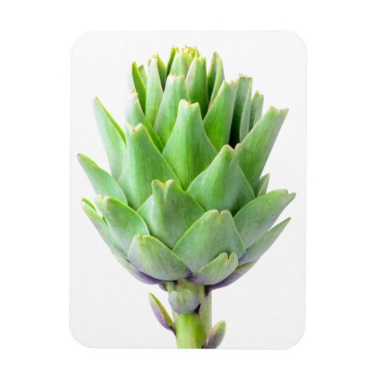 Artichoke Magneet (Verticaal)