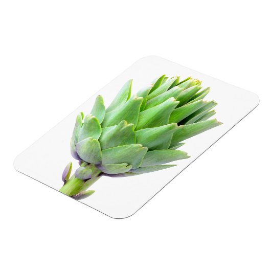 Artichoke Magneet (Linkerzijde)