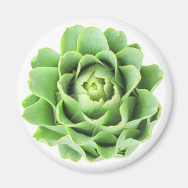 Artichoke Magneet