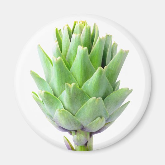 Artichoke Magneet (Voorkant)