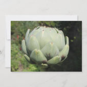 Artichoke Plant. Kaart (Voorkant)