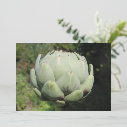 Artichoke Plant. Kaart (Staand voorkant)