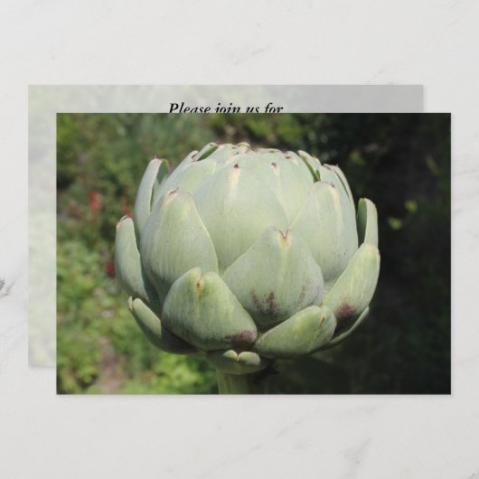 Artichoke Plant. Kaart (Voorkant / Achterkant)
