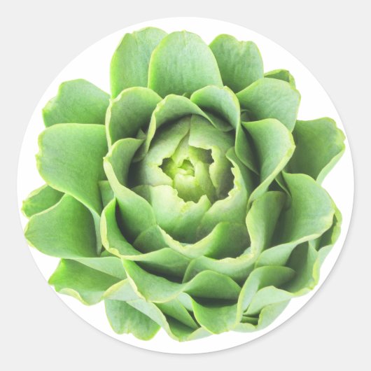 Artichoke Ronde Sticker (Voorkant)
