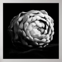 Artichoke Sluiten Zwart-witte fotografie