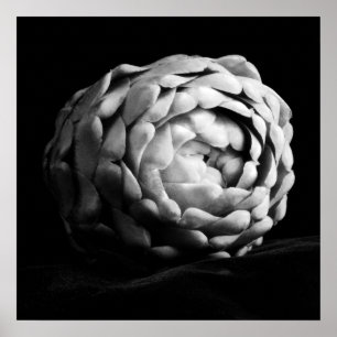 Artichoke Sluiten Zwart-witte fotografie Poster