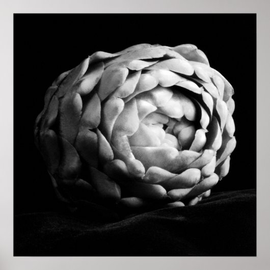 Artichoke Sluiten Zwart-witte fotografie Poster (Voorkant)