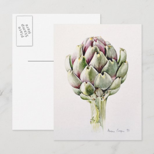 Artichoke Study 1993 Briefkaart (Voorkant / Achterkant)