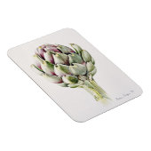 Artichoke Study 1993 Magneet (Rechterzijde)