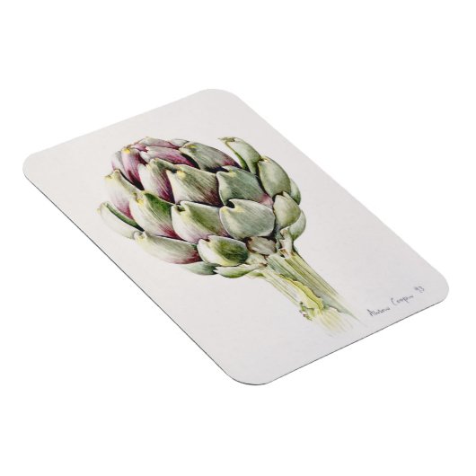 Artichoke Study 1993 Magneet (Rechterzijde)