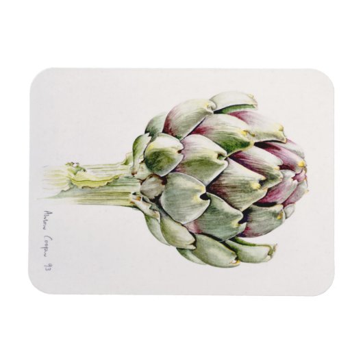Artichoke Study 1993 Magneet (Horizontaal)