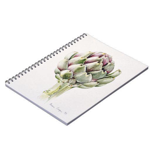 Artichoke Study 1993 Notitieboek (Linkerzijde)