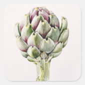 Artichoke Study 1993 Vierkante Sticker (Voorkant)