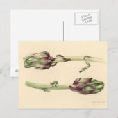 Artichokes 2005 briefkaart (Voorkant / Achterkant)