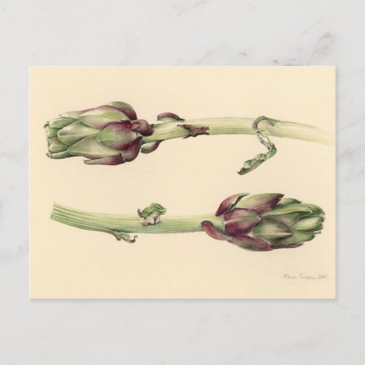 Artichokes 2005 briefkaart (Voorkant)