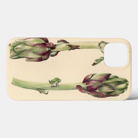 Artichokes 2005 Case-Mate iPhone case (Achterkant (horizontaal))